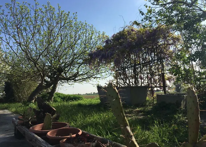 Bed and breakfast Il Rudere Rávena